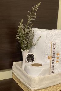 Santa Lucía Suite Hotel