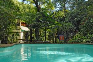 Red Mill House in Daintree