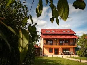 Pensiunea Eric - Groapa Rea