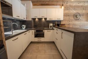 Sherpa 17 with sauna - Mottarets snowfront