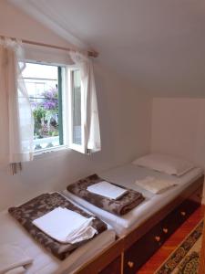 Apartments with parking space Palit, Rab - 14996