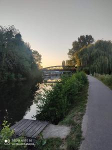 Maisons de vacances Le Cocon des Hortillonnages d'Amiens : photos des chambres