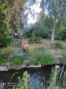 Maisons de vacances Le Cocon des Hortillonnages d'Amiens : photos des chambres