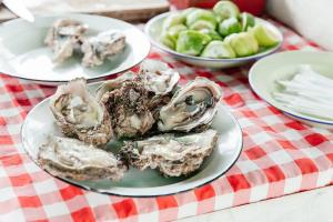 Cloud 9 Luxury Eco Villa