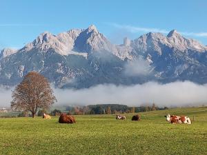 Ferienwohnung Kracherbauer