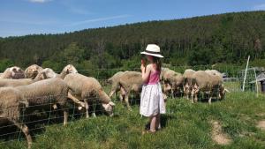 La Tiny House de la Bergerie
