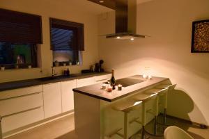 SuiteDreams-Jungle Suite - Liège