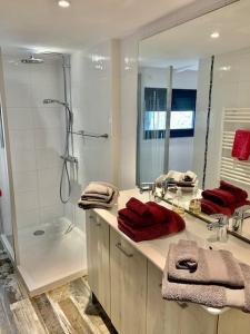 Appartements l'Annexe : photos des chambres