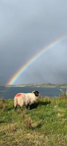 Kylemore House boutique apartments - Fishermans Perch