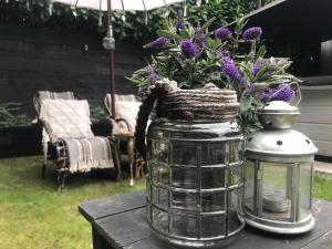 AuxiliumWellness Get Back to Serenity