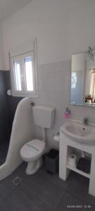 Tinos apartments Zalonis