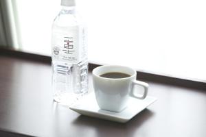 Shizutetsu Hotel Prezio Shizuoka-Ekikita