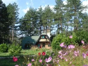 Zeleni Čardaci etno apartmani - 卡鲁德杰尔斯科巴尔