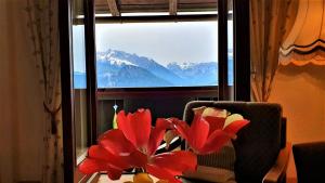 3 Bergpanorama und atenberaubende alpine Almlandschaft für absolute Nichtraucher