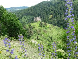 Hotels Hotel Des Rochers : photos des chambres