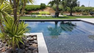 Villa contemporaine avec piscine à débordement dans un domaine viticole