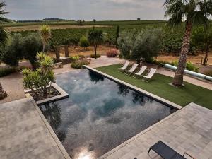 Villa contemporaine avec piscine à débordement dans un domaine viticole