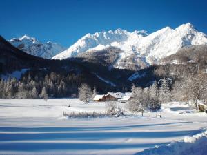 Appartements Pres des Forts : photos des chambres