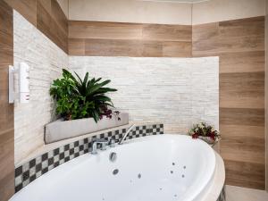ECO Villa Grand Karpatia SkiSpa