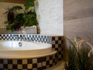 ECO Villa Grand Karpatia SkiSpa