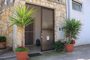 Apartment Sali 8084b