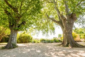 Maisons de vacances Le Mas des Platanes : photos des chambres