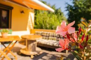 Apartment Sonnenschein - 鲁多尔施塔特