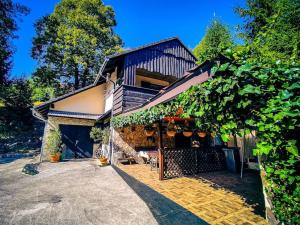 Vineyard cottage Marjanov gozdiček