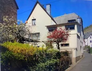 Ferienhaus Moselblick am Kapellchen - Ediger