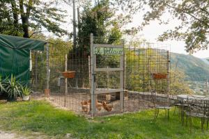 Agriturismo Riva dei Coz