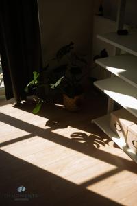 Comfort Apartment im Zentrum 23