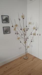 PORTO DOWNTOWN Rua das FLORES