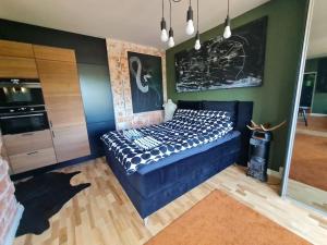 ROVIO ART APARTMENTS Gummeruksenkatu 5 Jyväskylä