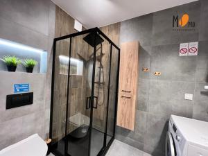 MS Pro Apartamenty Młyńska 10