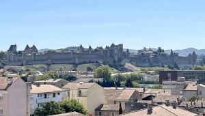 Appartements Appartement cosy avec vue imprenable sur la cite : photos des chambres