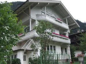Villa Rauter Mayrhofen - Brandberg