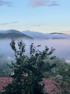 B&B / Chambres d'hotes Guest house Maison Iratzean : photos des chambres
