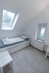 Suzana Irons apartment