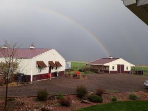 Llama-Stay at Spooky Tooth Ranch - Mtn Views!