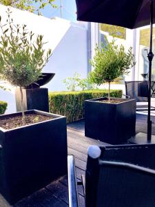 Villa Georges - La Rochelle centre -