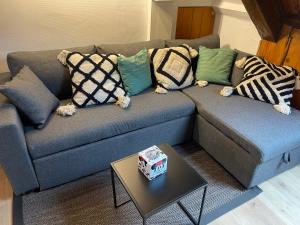 Le hohwald centre appartement 3 pieces # 201