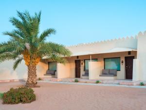 Desert Nights Resort - Inclusive of a Free Sunset Drive and Camel Ride