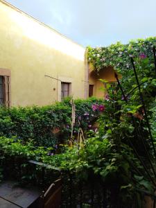 Lele Room Downtown Querétaro