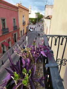 Lele Room Downtown Querétaro