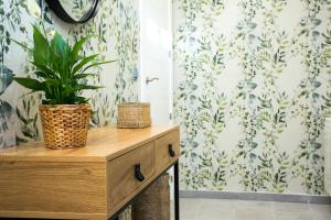 Elegante Apartamento LAUD1 - NuevoFamiliaWifiTV