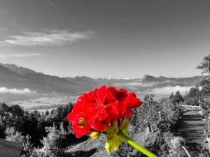 FEWO Niederndorferberg