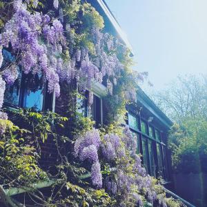 Vakantiewoning Guesthouse MOMO