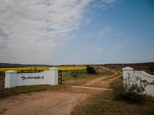Bontebokskloof Manor - Buffeljagsrivier