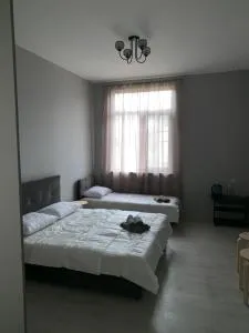 Гостевой двор Дамира - Picunda