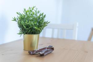 FullHouse - Eisenach - K70 Apartments - Washing Machine - SmartTV